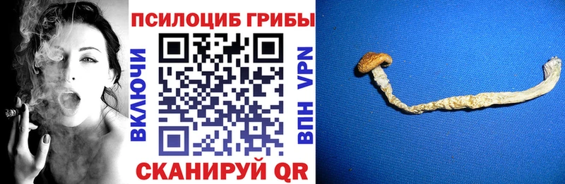 Псилоцибиновые грибы мицелий  Купить  Бугуруслан 